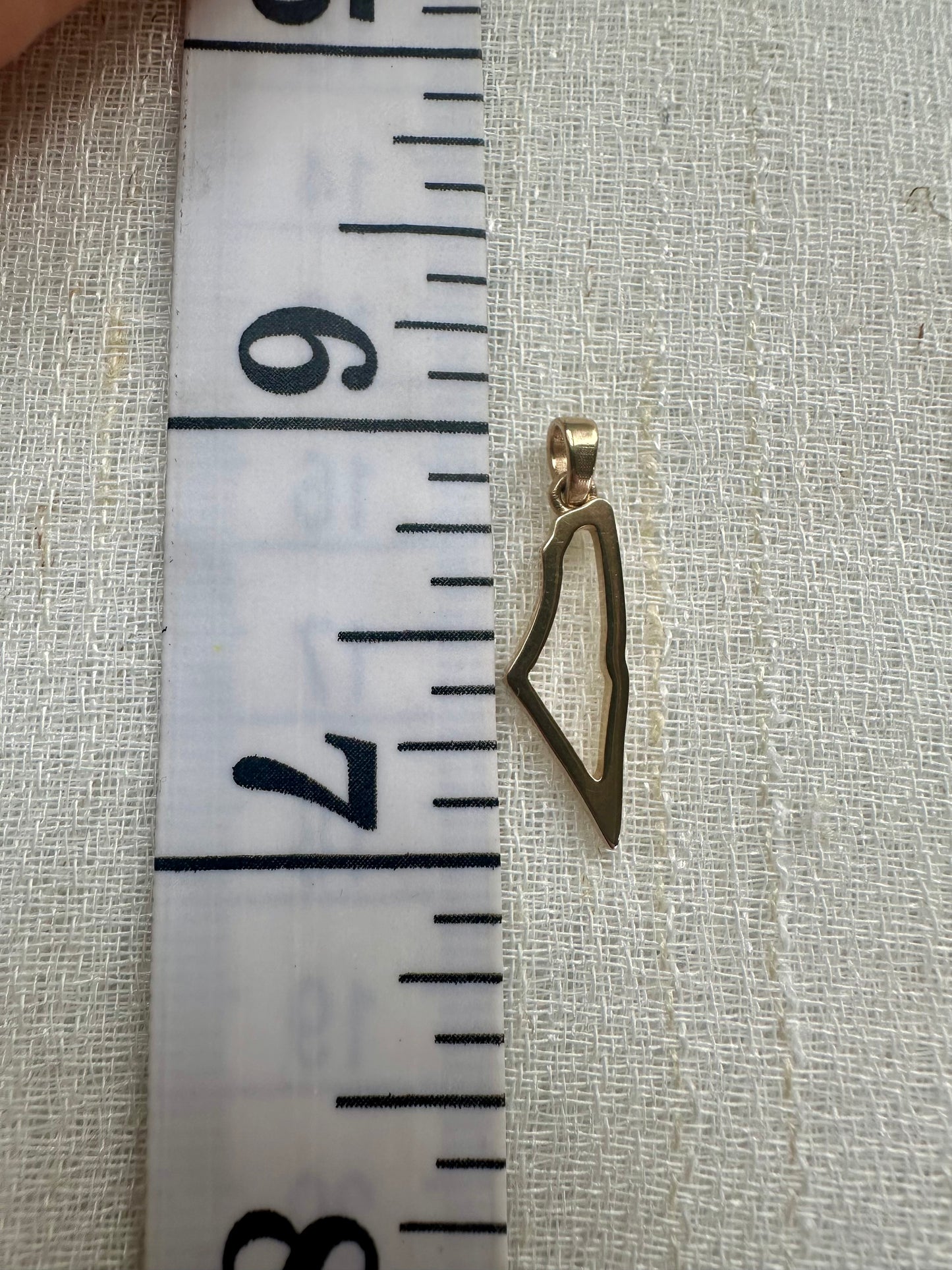 Palestine Outline Pendant | Gold Map Pendant