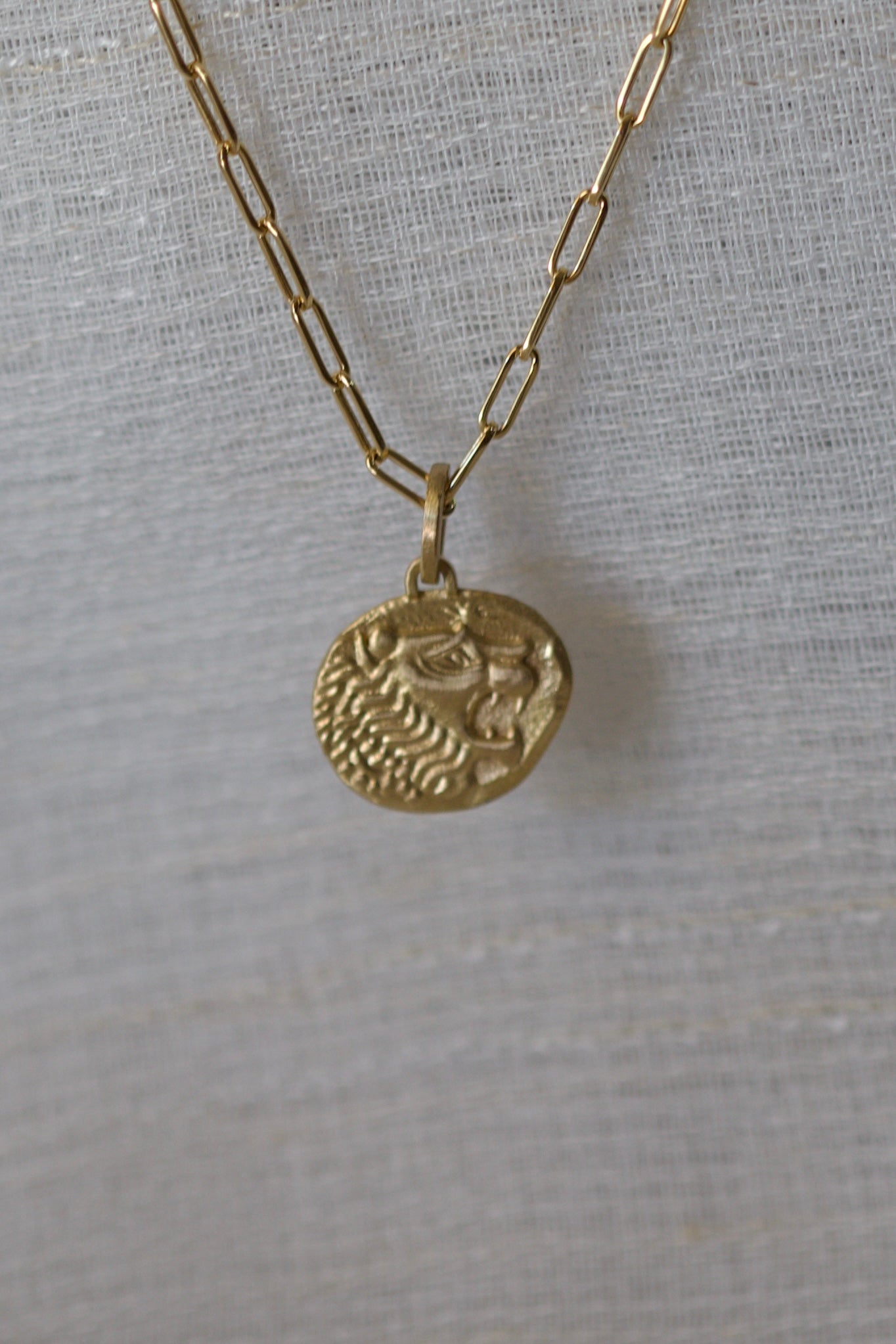 Gold Lion Pendant | Coin Gold Necklace
