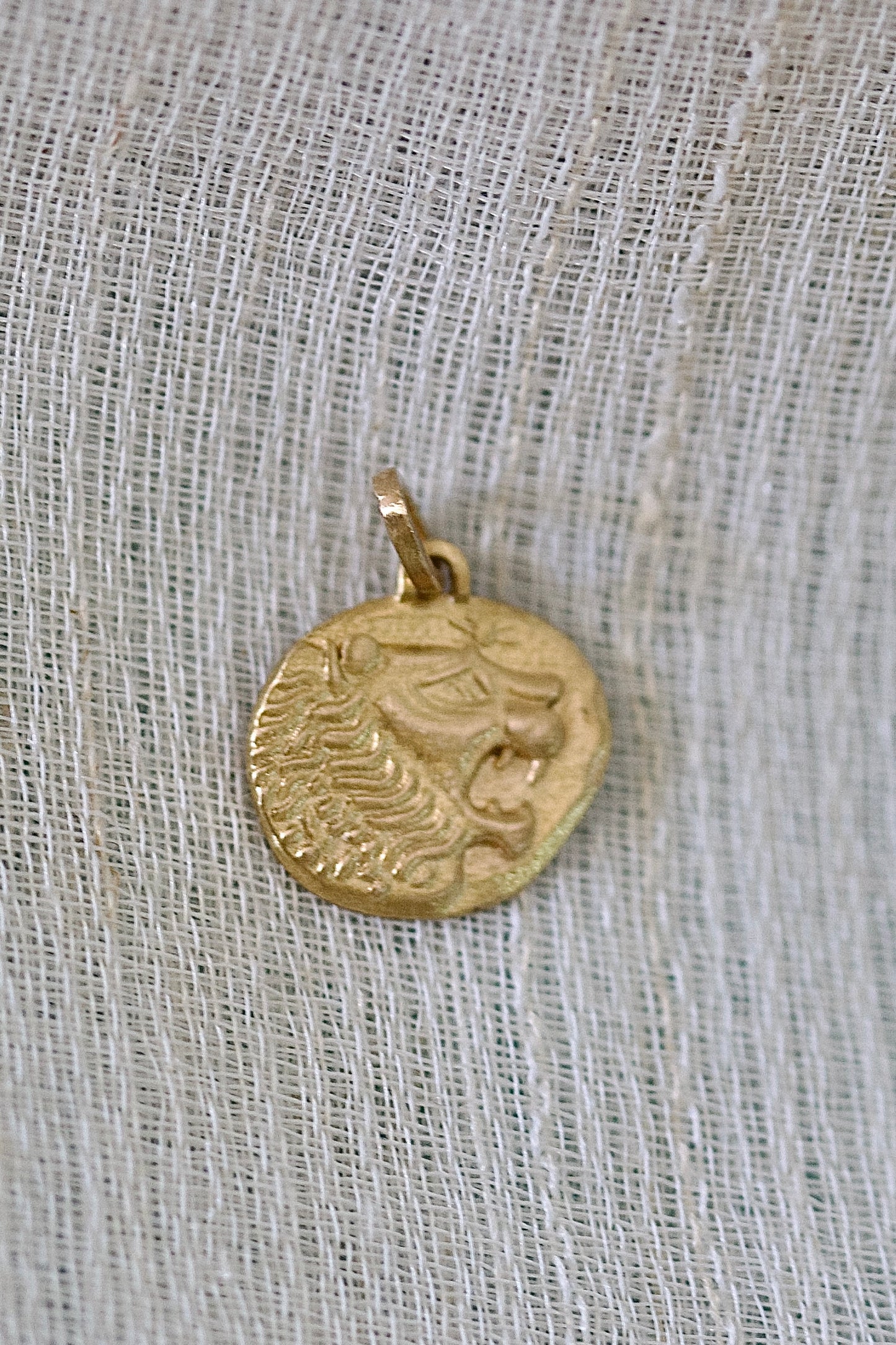 Gold Lion Pendant | Coin Gold Necklace
