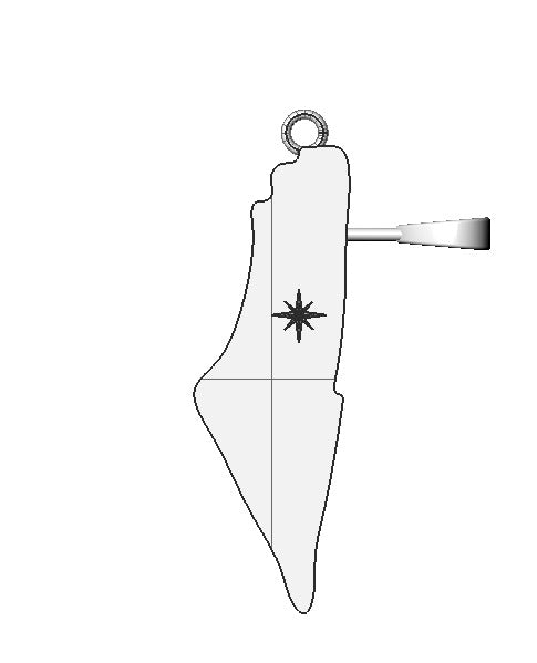 Custom Palestine Map Pendant with name engraving