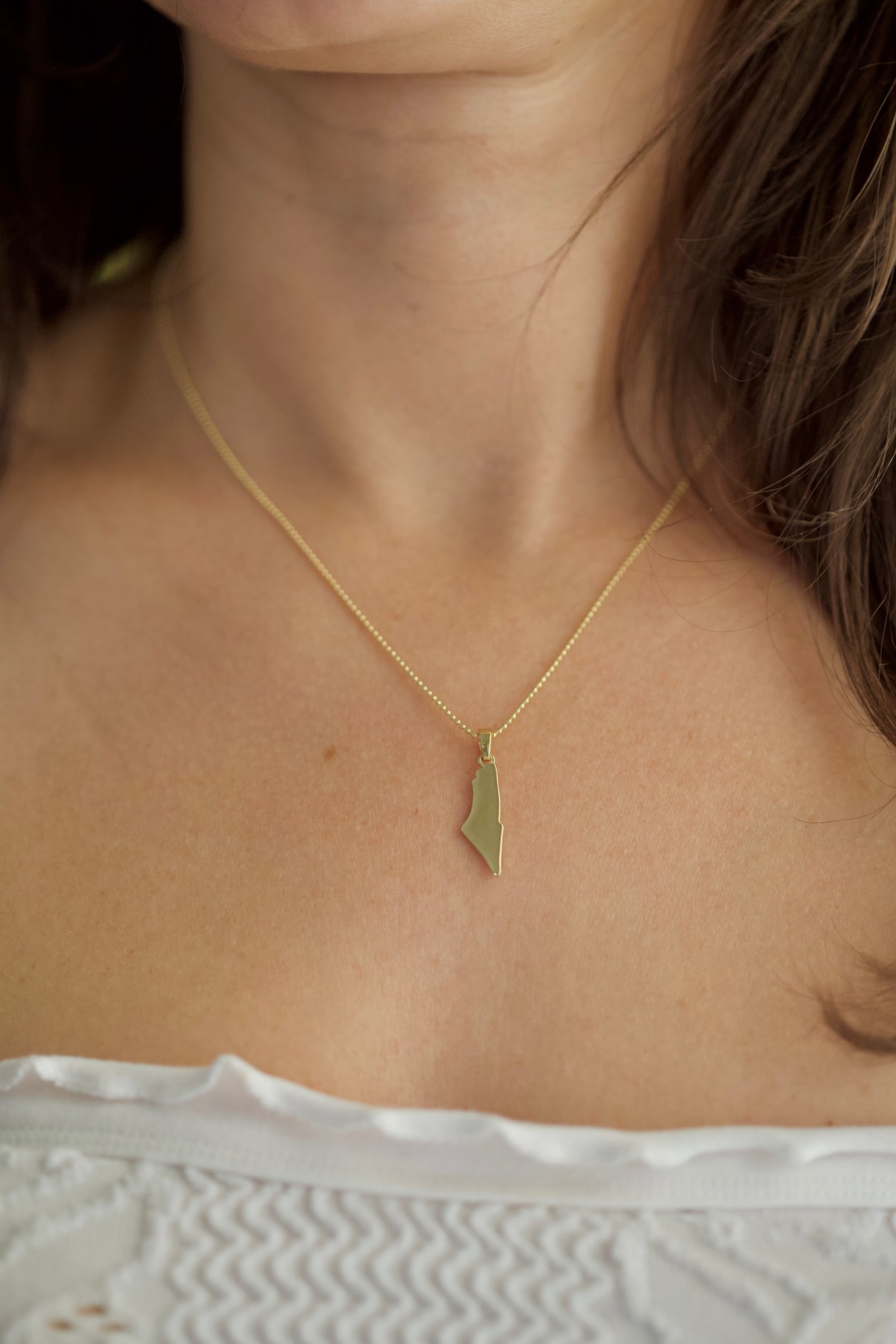 14K/18K Gold Palestine Map Pendant | Outline Map Pendant